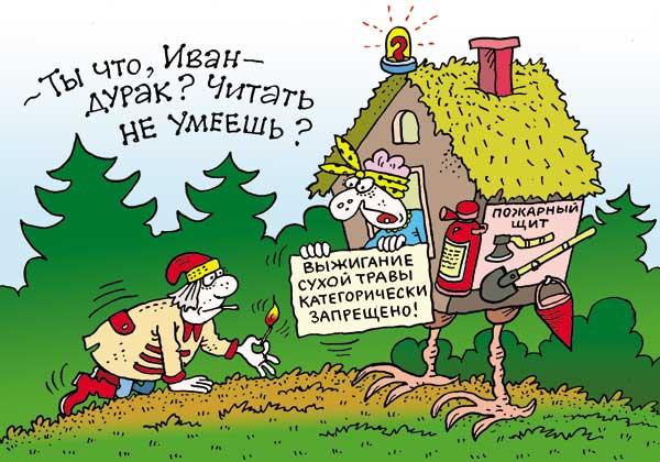 vigig10_0x0.jpg (600×420)
