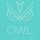 Owl 1975
