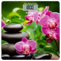 Scarlett SC-BS33E038
