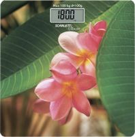 Scarlett SC-BS33E040