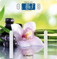 Scarlett SC-BS33ED10