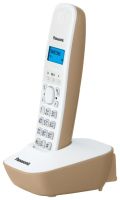 Panasonic KX-TG1611RUJ