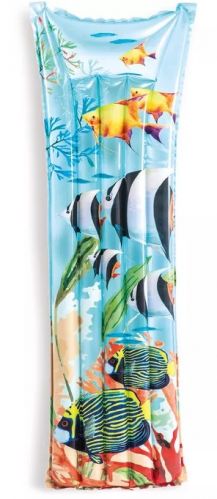 Intex 59720NP (рыбки)