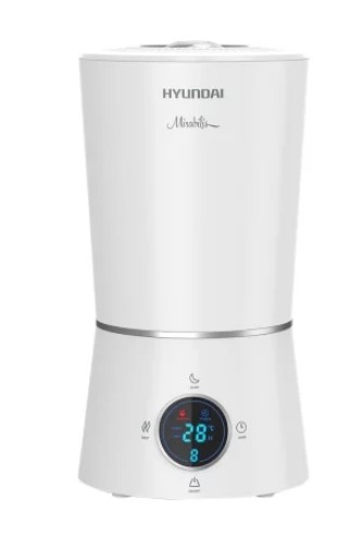  Hyundai Mirabilis HU5E, фото 2