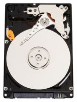 Жесткий диск Western Digital WD3200BEVT