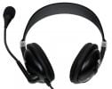 Компьютерная гарнитура Ritmix RH-533 USB Black