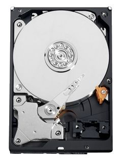 Жесткий диск Western Digital WD5000AVCS, фото 1