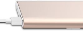 Портативное зарядное устройство Xiaomi Mi Power Bank Pro 10000 mAh (розовое золото)
