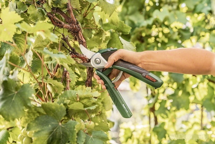 Секатор Bosch EasyPrune, фото 4