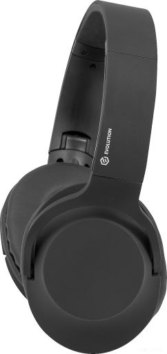 Наушники Evolution WH101F (черный), фото 1
