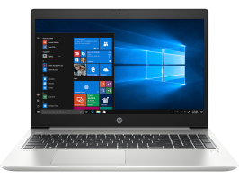 Ноутбук HP ProBook 450 G7 (2D294EA)