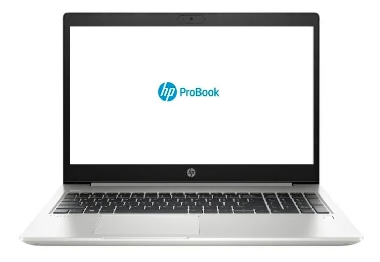 Ноутбук HP ProBook 450 G7 (2D345ES), фото 1
