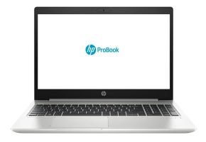 Ноутбук HP ProBook 450 G7 (2D345ES)