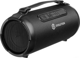 Беспроводная колонка Evolution BOOM-101 (черный)