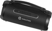 Беспроводная колонка Evolution BOOM-101 (черный)