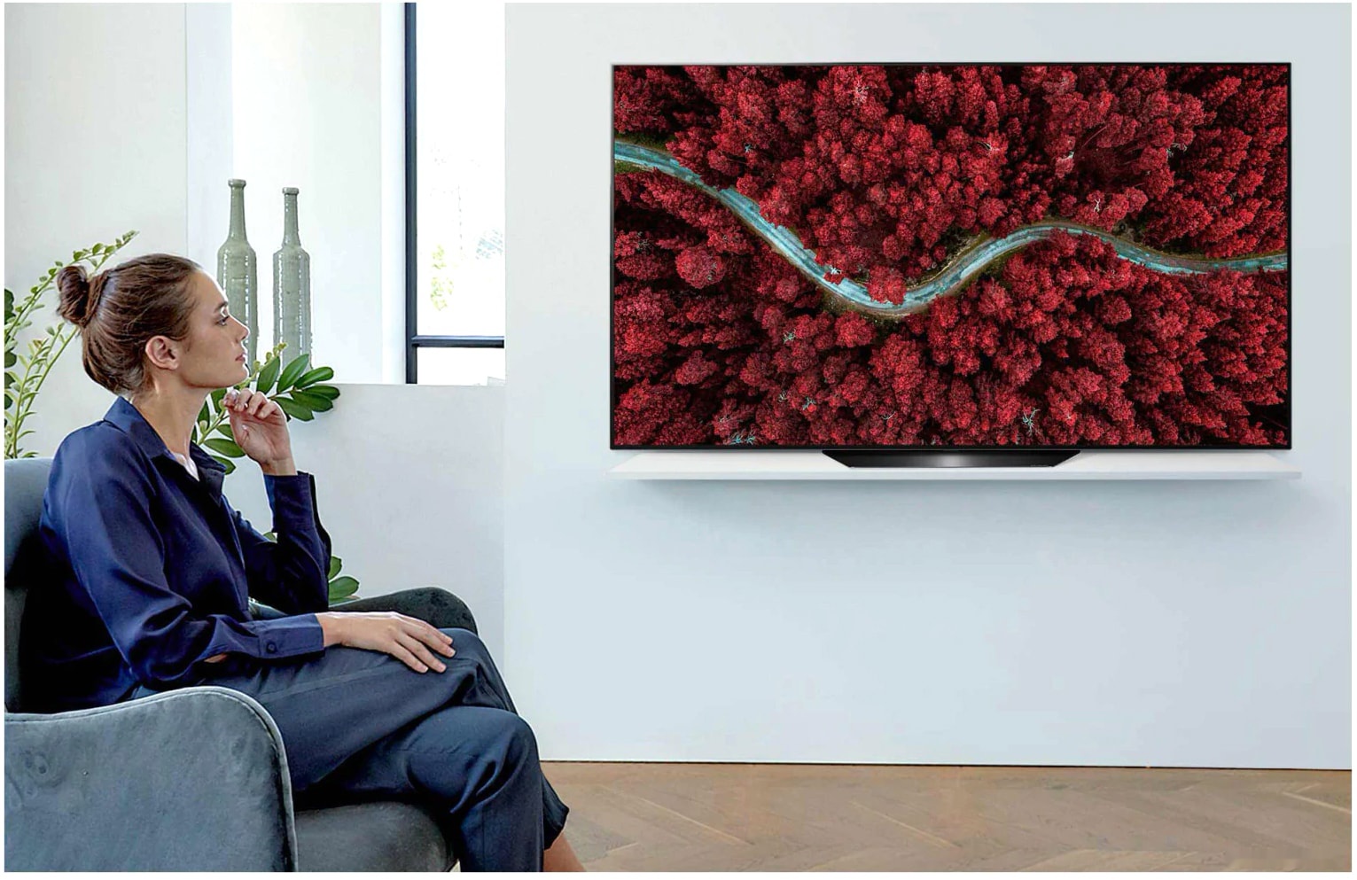Телевизор LG OLED55BXRLB, фото 9