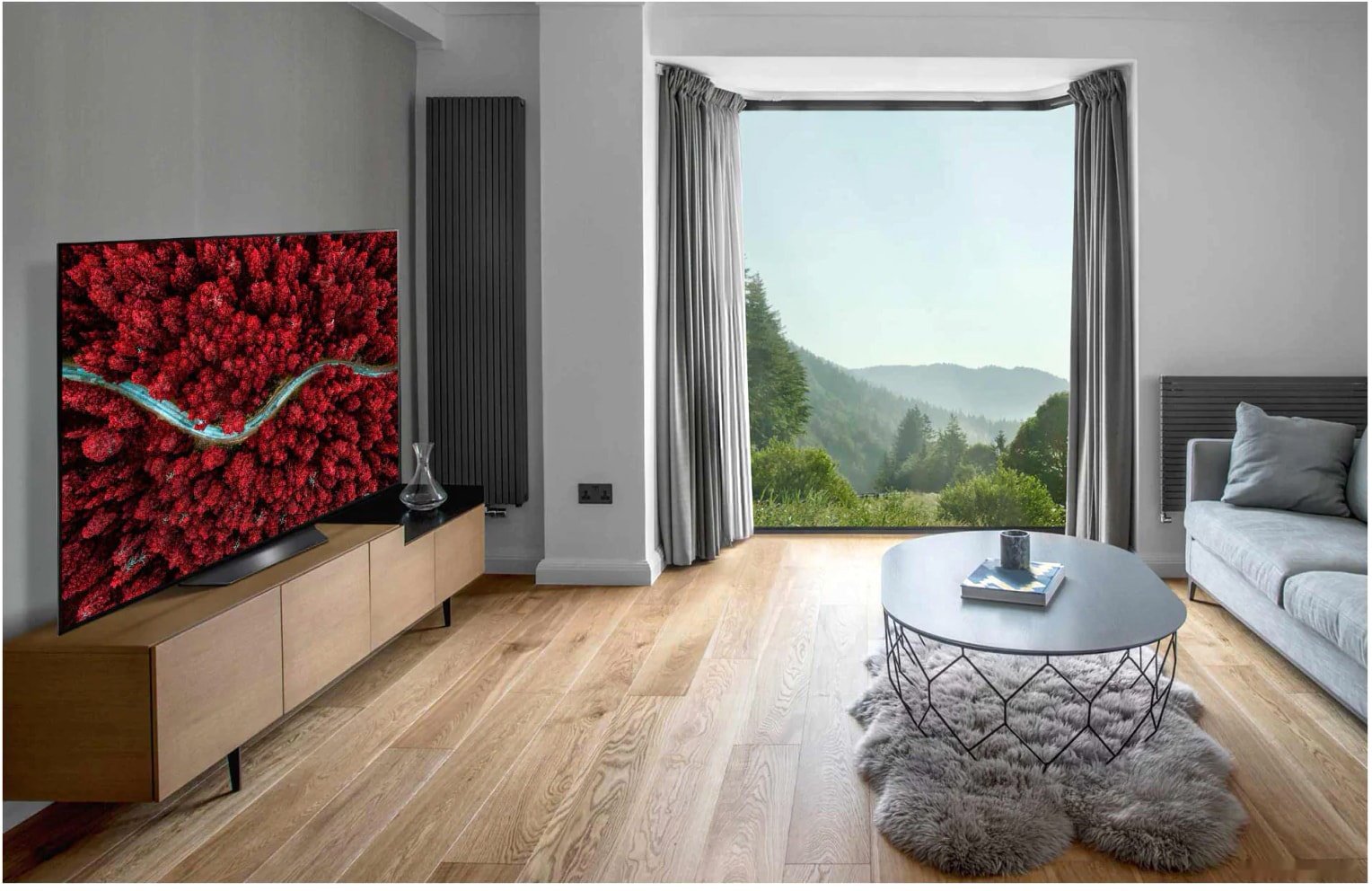 Телевизор LG OLED55BXRLB, фото 7
