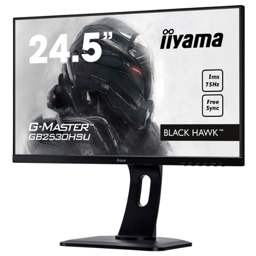 Монитор IIYAMA G-Master GB2530HSU-1, фото 3