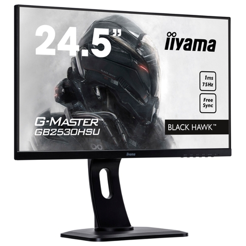 Монитор IIYAMA G-Master GB2530HSU-1, фото 2