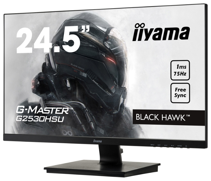 Монитор IIYAMA G-Master G2530HSU-1, фото 2