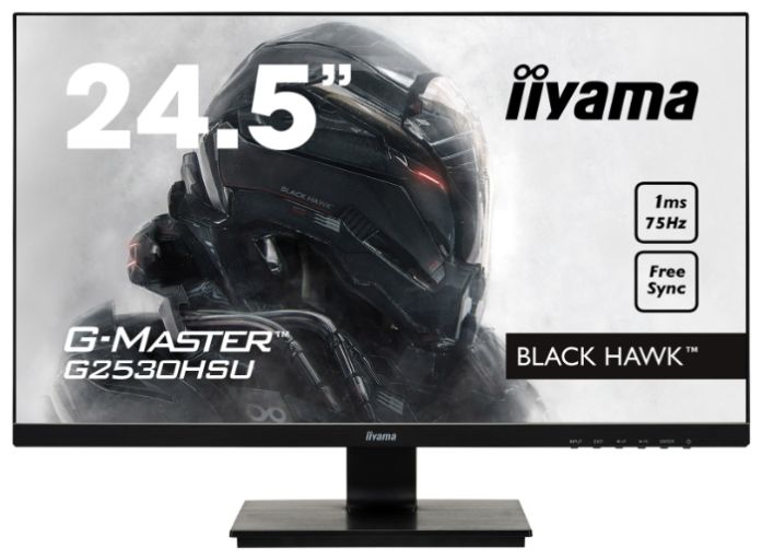 Монитор IIYAMA G-Master G2530HSU-1, фото 1