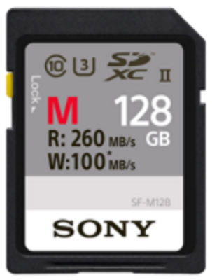 Карта памяти Sony SFG1M