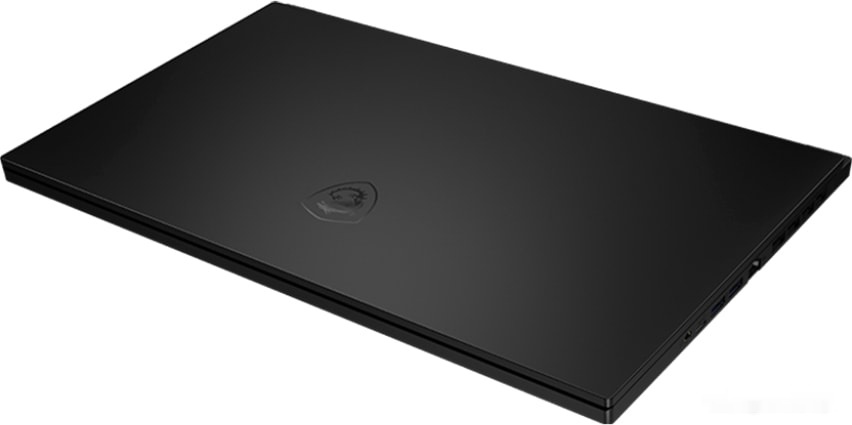 Игровой ноутбук MSI GS66 Stealth 10SGS-243RU, фото 5