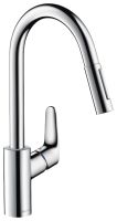 Смеситель Hansgrohe Focus 31815800