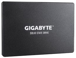 Жесткий диск Gigabyte GP-GSTFS31120GNTD