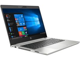 Ноутбук HP ProBook 445 G7 (175V5EA)
