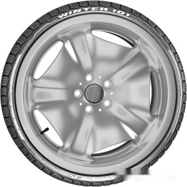 Автомобильные шины Achilles Winter 101 X 195/55R16 87H, фото 8