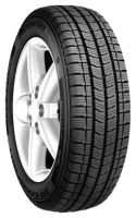 Шина BFGoodrich Activan Winter 225/65 R16C 112/110R
