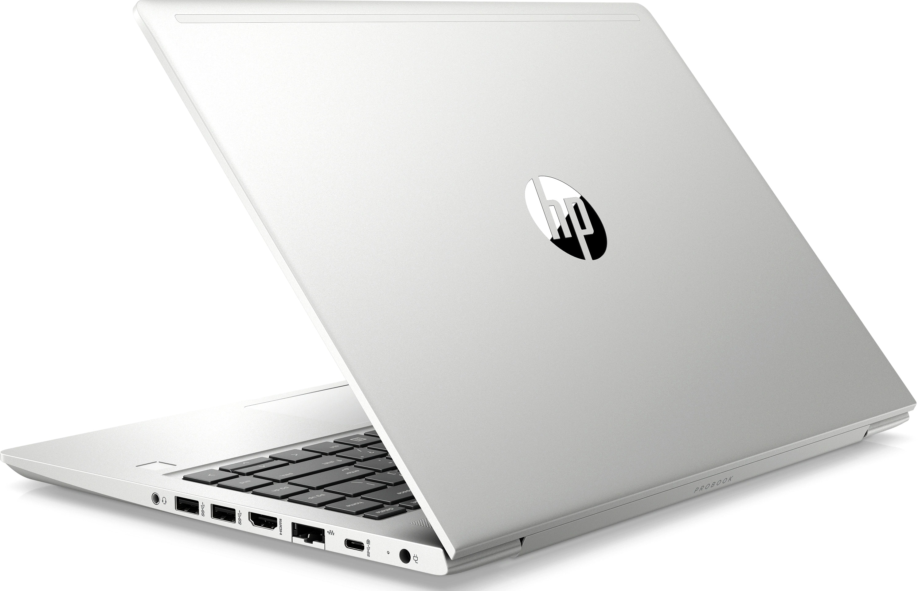 Ноутбук HP ProBook 445 G7 (7RX17AV), фото 2