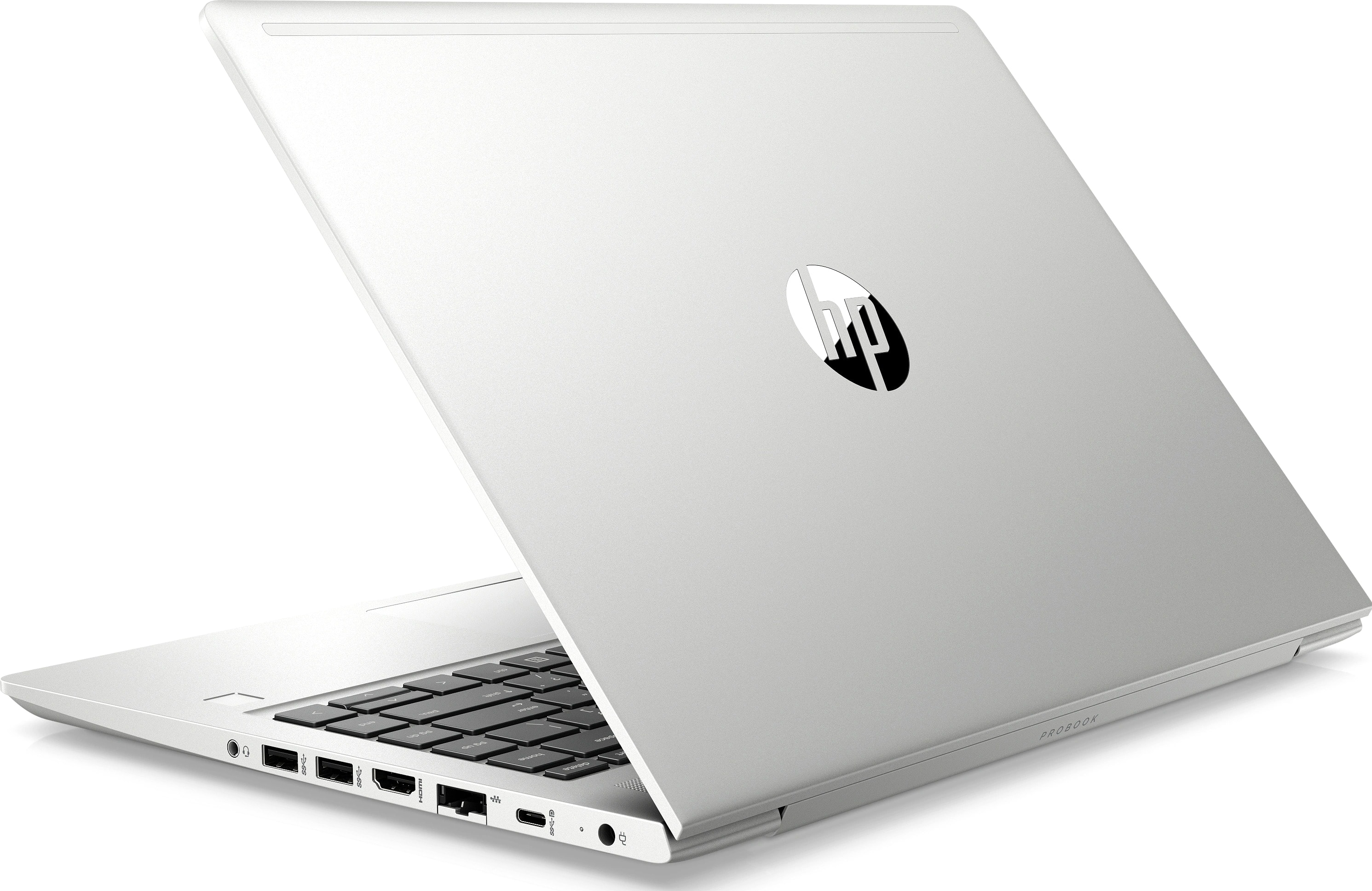 Ноутбук HP ProBook 445 G7 (1B7D8ES), фото 2