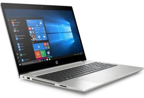 Ноутбук HP ProBook 455 G7 (1L3H0EA)