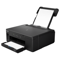 Принтер Canon PIXMA GM2040