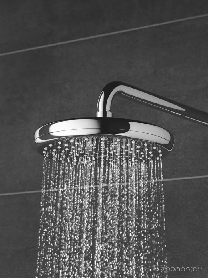 Верхний душ Grohe Tempesta 210 26412000, фото 2