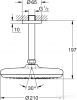 Верхний душ Grohe Tempesta 210 26413000