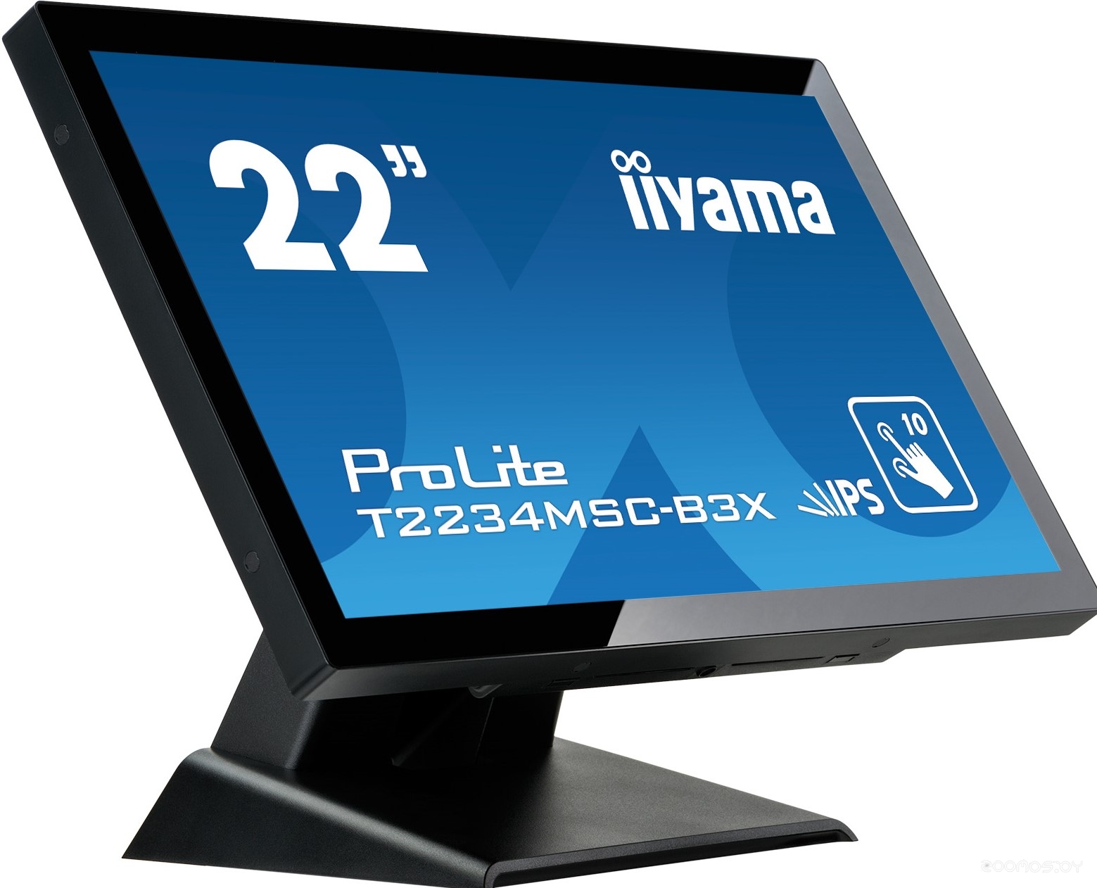 Монитор IIYAMA ProLite TF2234MC-B3X, фото 3