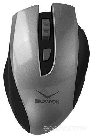 Мышь Canyon CNS-CMSW7G Black-Grey USB