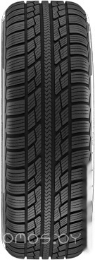 Автомобильные шины Achilles Winter 101 X 215/65R16 98H, фото 5