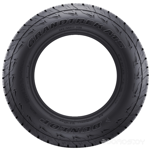 Автомобильная шина Dunlop Grandtrek AT5 235/60 R16 100H летняя, фото 3