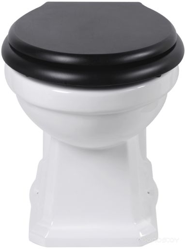 Унитаз Vitra Efes 6233B003-0075, фото 1