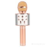 Микрофон Wise WS-858 (розовое золото)