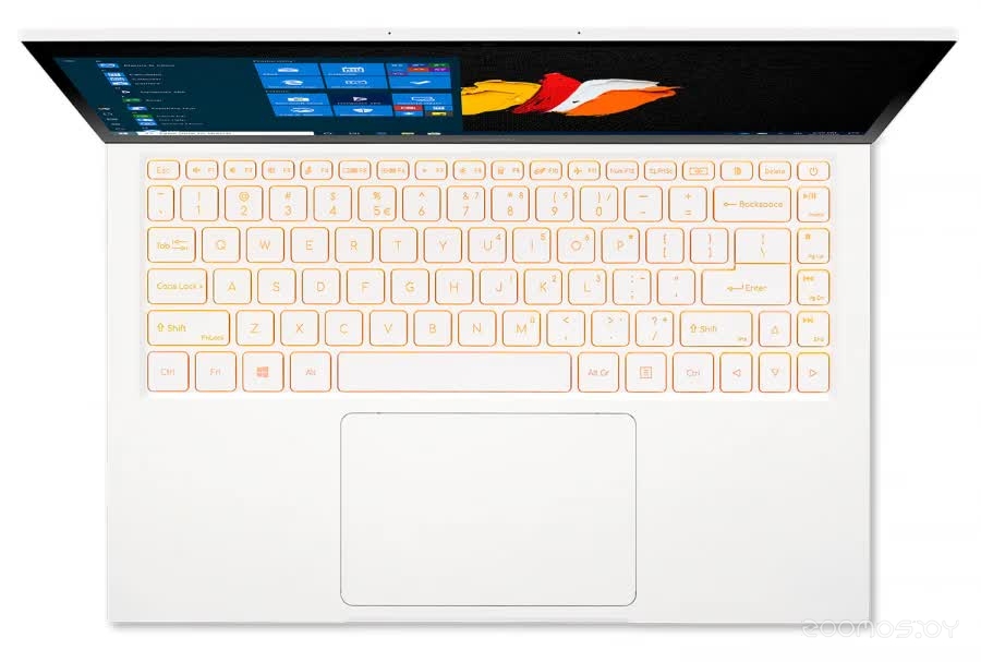 Ноутбук 2-в-1 Acer ConceptD 3 Ezel CC314-72-762W NX.C5GER.003, фото 15