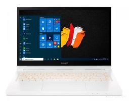 Ноутбук 2-в-1 Acer ConceptD 3 Ezel CC314-72-762W NX.C5GER.003