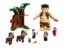 Конструктор Lego Harry Potter Запретный лес: Грохх и Долорес Амбридж 75967