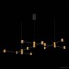 Подвеcная люстра St Luce Anichita SL1596.423.22