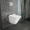 Унитаз Owl 1975 Eter Ruta-H с сиденьем DP микролифт OWLT190203