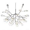 Подвеcная люстра St Luce Riccardo SL411.103.45